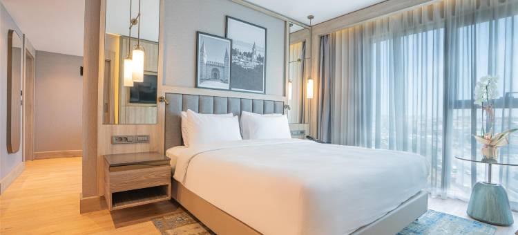 伊斯坦布尔梅尔特雷迪森酒店(Radisson Hotel Istanbul Merter)图片