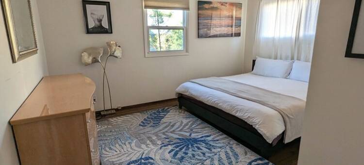 Venice beach home with huge fenced yard, hot tub, safe, quiet, parking图片