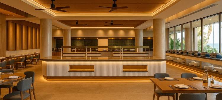 JAZ精英极光(JAZ Elite Aurora)图片