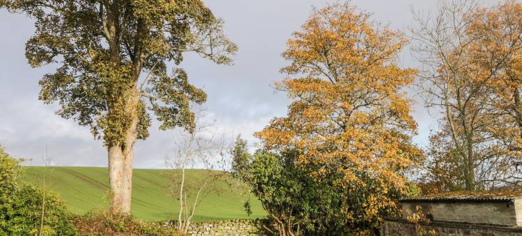 奥林赛德(Orrinside)图片