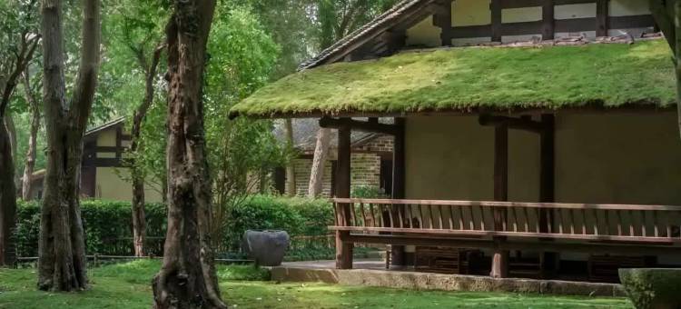 桃花源云舍度假村图片