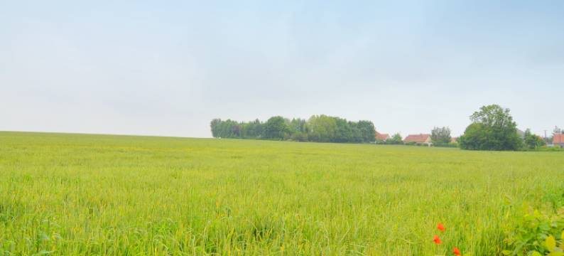 Holiday Home Folleville near Asterix Park图片