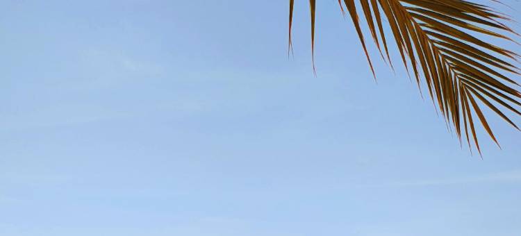 阿萨拉姆营地(Al Salam Desert Camp)图片