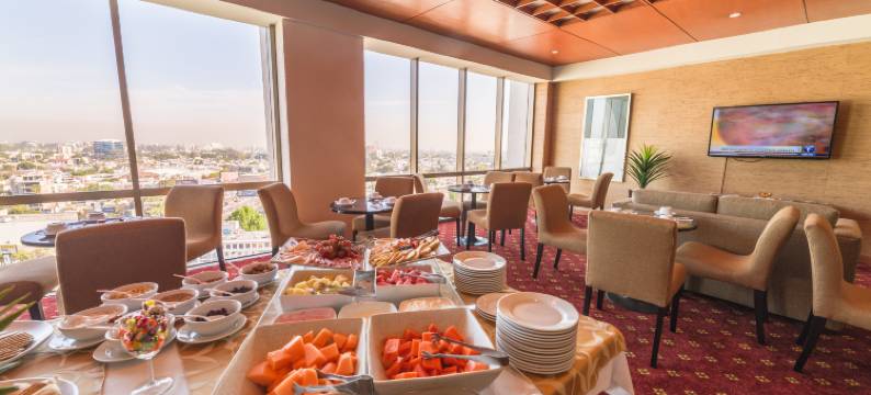 Holiday Inn 瓜达拉哈拉(Holiday Inn GUADALAJARA SELECT by IHG)图片