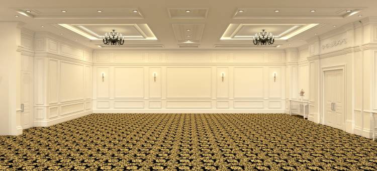 托卢卡希尔顿逸林酒店(DoubleTree by Hilton Toluca)图片