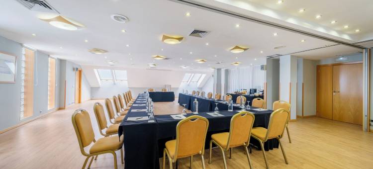 阿尔芳索X丝绸酒店(Silken Alfonso X)图片