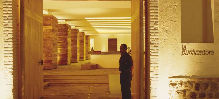 普埃布拉拉普雷菲卡多拉酒店 - 设计酒店会员(La Purificadora, Puebla, a Member of Design Hotels)图片