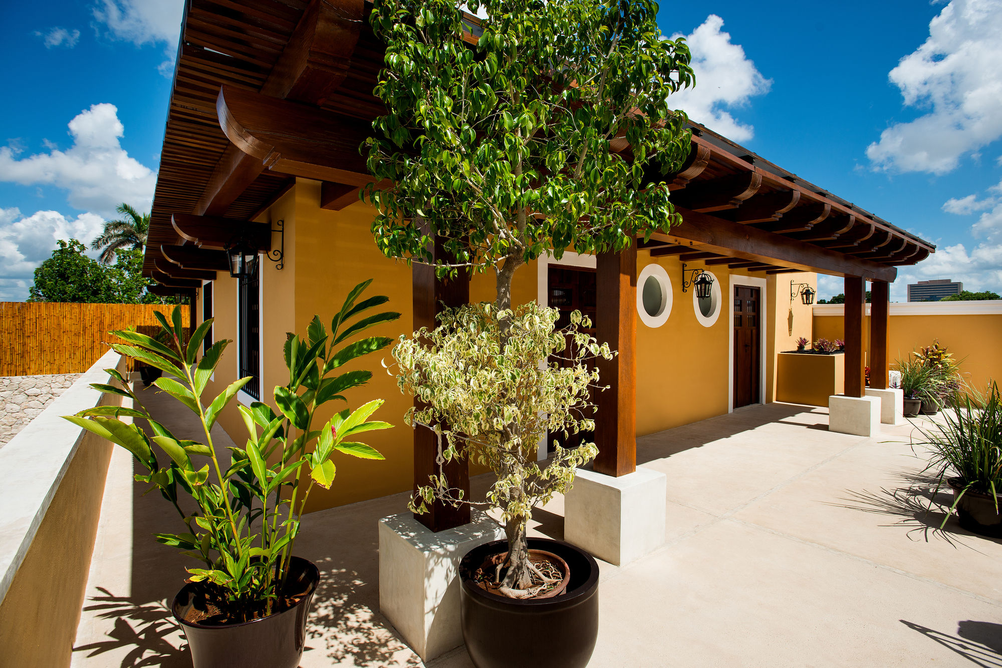 Boutique by the Museo Over view