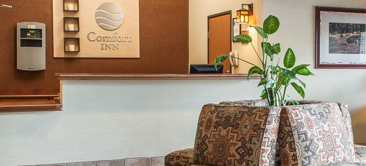 城中舒适套房酒店(Comfort Inn & Suites Midtown)图片