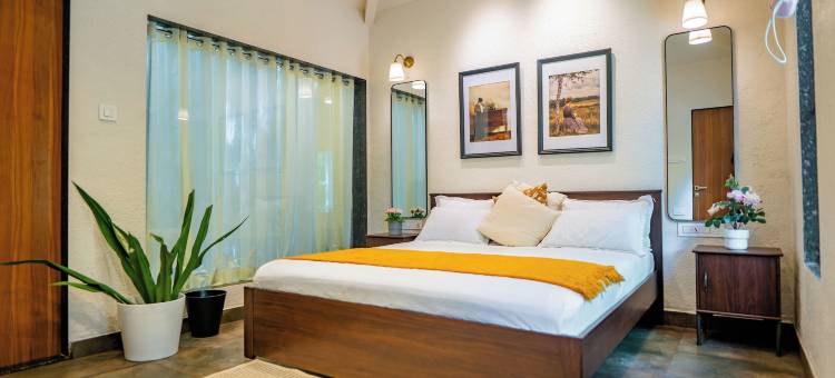 阿埃拉基棕榈(Aeraki palms)图片