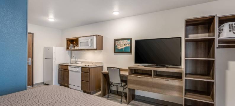 伍德斯普林套房底特律农场山(WoodSpring Suites Detroit Farmington Hills)图片