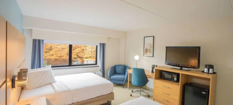 埃里姆伍德酒店 - 温德姆华美达酒店(Elimwood Hotel, A Ramada by Wyndham)图片