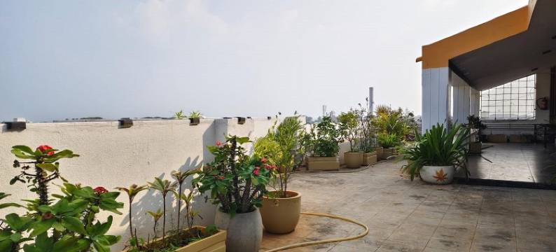 法国精英别墅(The French Villa Elite)图片