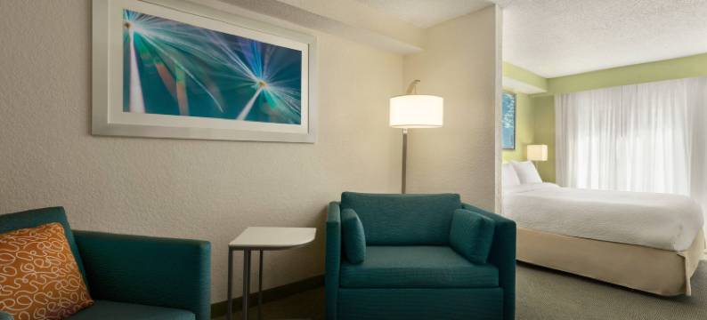 博卡－拉顿万豪SpringHill酒店(SpringHill Suites Boca Raton)图片