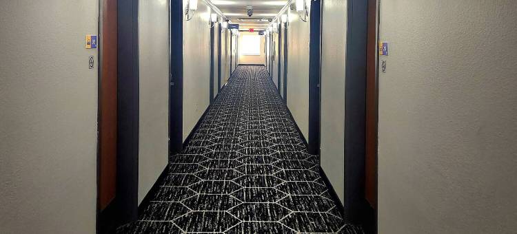 巴吞鲁日温德姆戴斯酒店/I-10(Days Inn by Wyndham Baton Rouge/I-10)图片