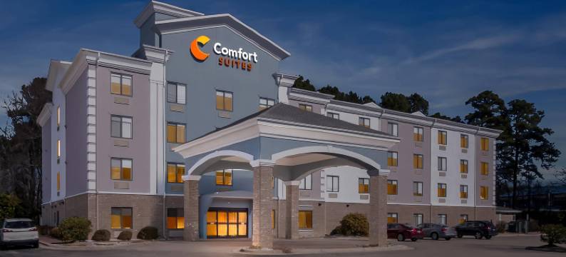 舒适套房酒店(Comfort Suites)图片