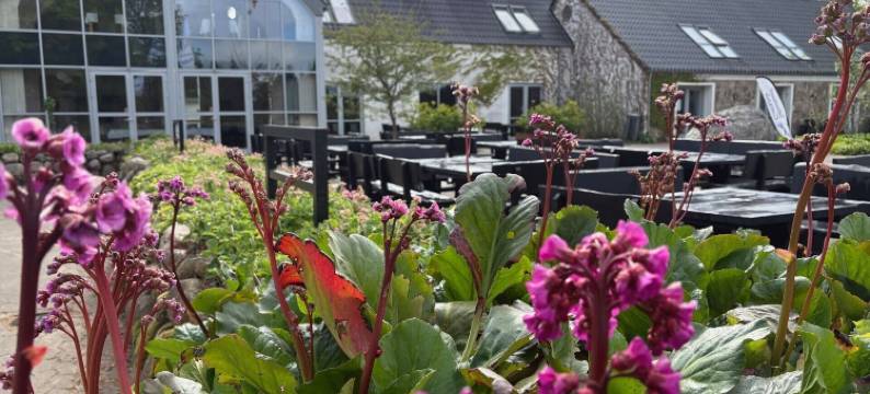 托朗格加德高尔夫公园&公寓式酒店(Tollundgaard Golf Park & Apartments)图片