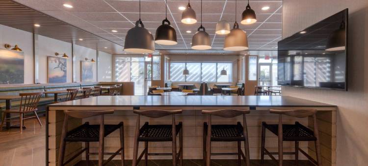 夏洛特贝尔蒙特万枫套房酒店(Fairfield Inn & Suites Charlotte Belmont)图片
