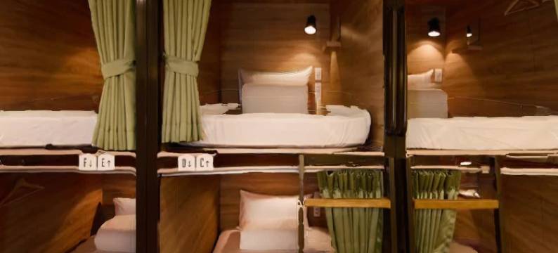 漂鸟草悟道青年旅馆图片