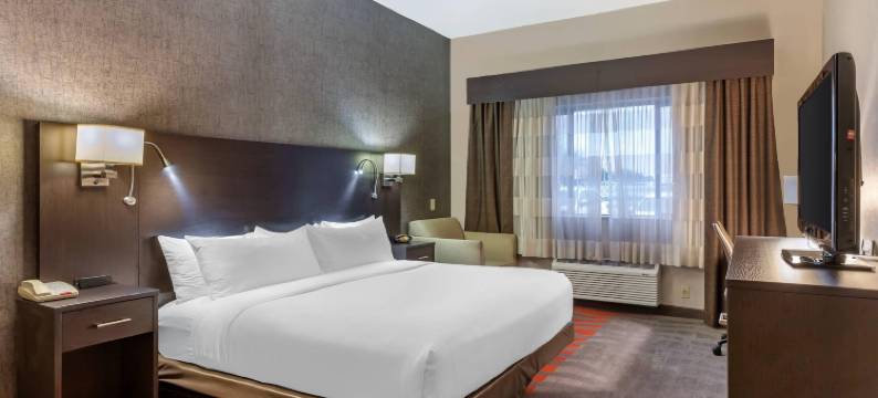 博伊西默尔迪恩舒适套房酒店(Comfort Suites Boise West Meridian)图片