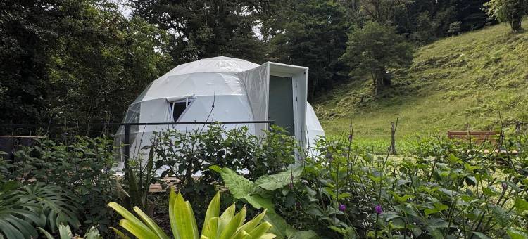 埃皮菲塔蒙特贝尔德帐篷酒店(Epifita, Bosque Nuboso Glamping Monteverde)图片
