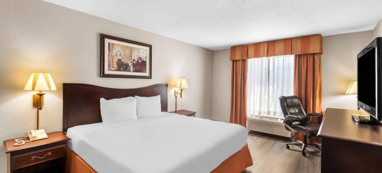 温泉城丽怡酒店(Country Inn & Suites by Radisson, Hot Springs, AR)图片