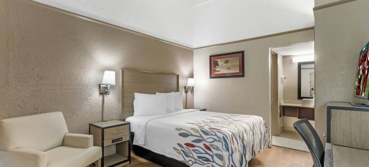 圣彼得堡坦帕湾红顶酒店(Red Roof Inn Tampa Bay - St. Petersburg)图片