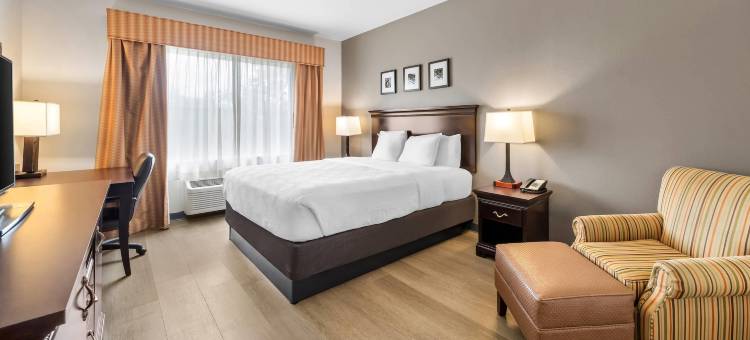 佛罗里达奥兰治港代托纳丽怡酒店(Country Inn & Suites by Radisson, Port Orange-Daytona, FL)图片