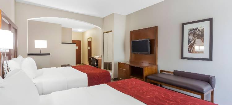 索尔兹伯里I-85舒适套房酒店(Comfort Suites Salisbury I-85)图片