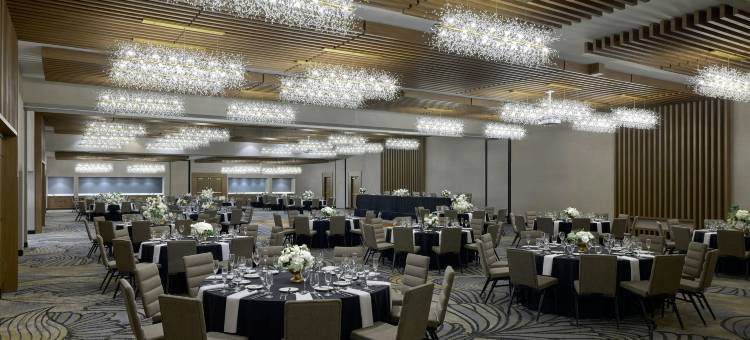 芝加哥西北万豪酒店(Chicago Marriott Northwest)图片