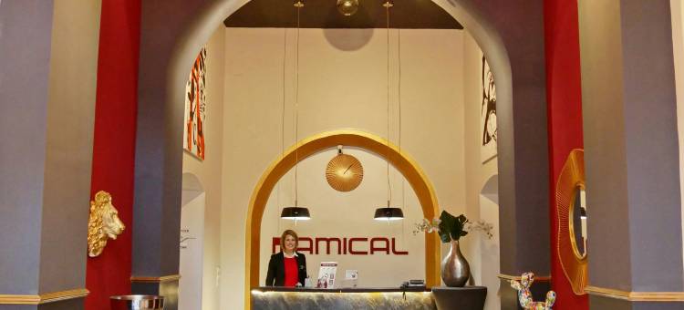 爱米克酒店(Amical Hotel)图片