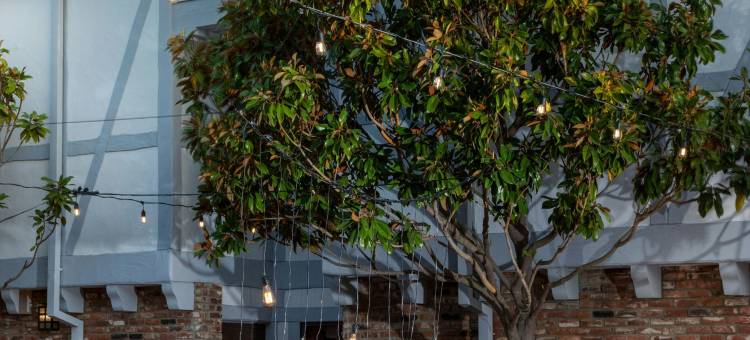 索尔万科尔克酒店 Tribute Portfolio 酒店(Corque Hotel, Solvang, A Tribute Portfolio Hotel)图片