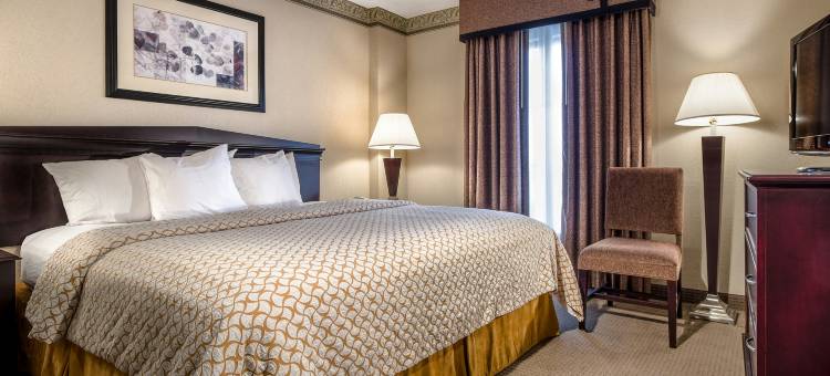 希尔顿亚特兰大阿尔普哈雷塔使馆套房酒店(Embassy Suites by Hilton Atlanta Alpharetta)图片