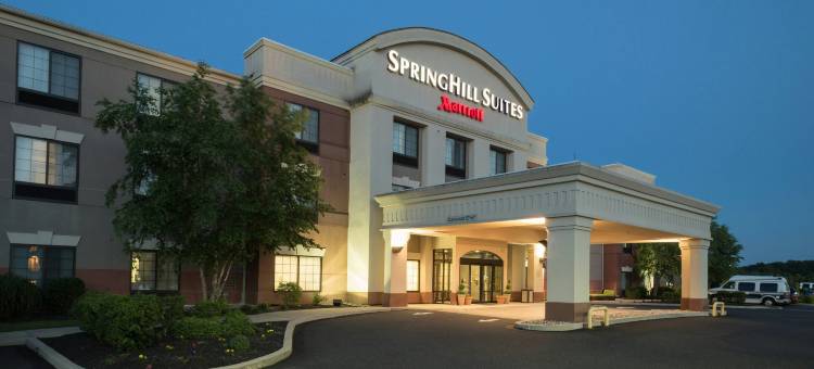 夸克敦万豪SpringHill酒店(SpringHill Suites Quakertown)图片