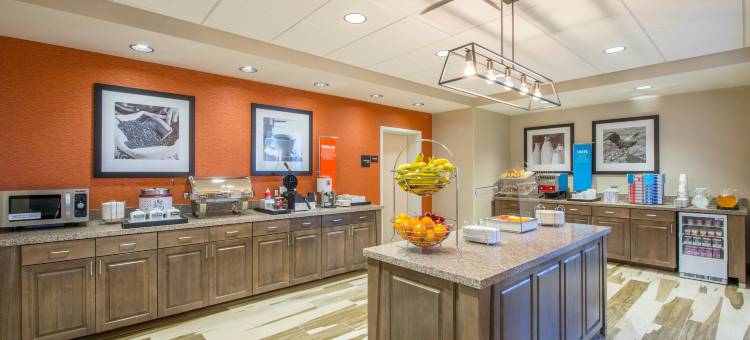 凤凰城梅萨东欢朋套房酒店(Hampton Inn & Suites Phoenix East Mesa)图片