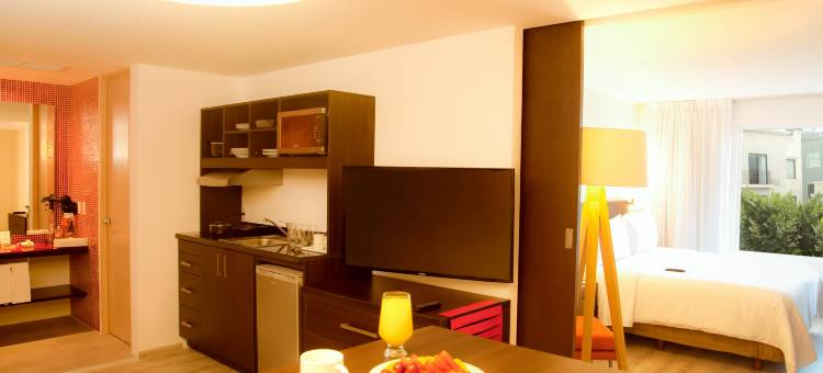 蒙克洛瓦嘉年华快捷酒店(Fiesta Inn Express Monclova)图片