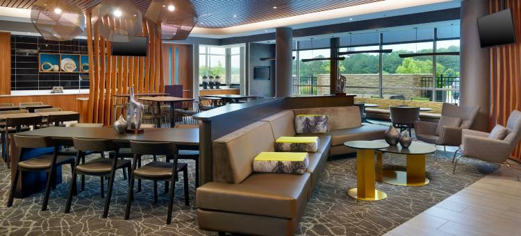 艾利嘉SpringHill Suites酒店(SpringHill Suites Ellijay)图片