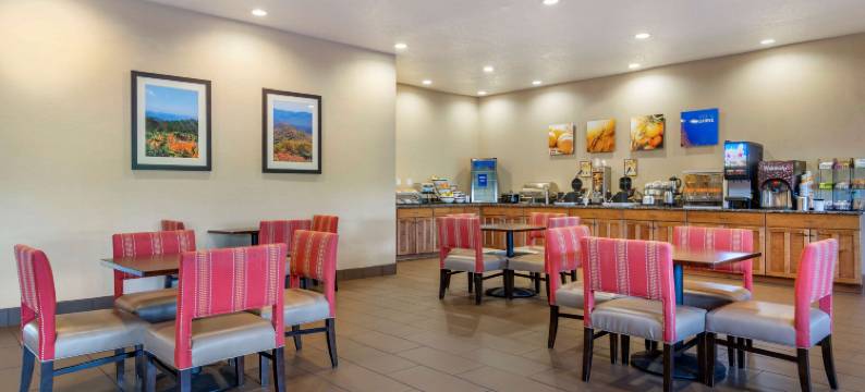 舒适套房酒店(Comfort Inn & Suites)图片