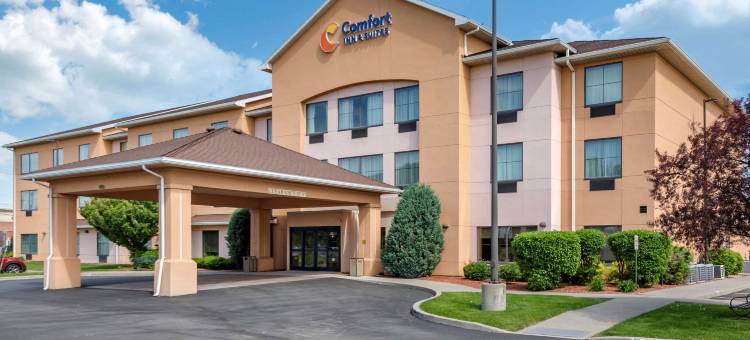 福明顿舒适酒店及套房(Comfort Inn & Suites Farmington - Victor)图片