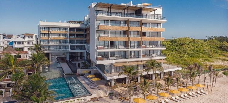 普埃尔托莫雷洛斯五号海滨酒店(The Fives Oceanfront Puerto Morelos)图片