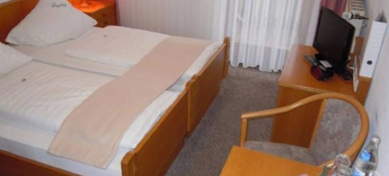 鲁格霍夫酒店(Hotel Lugerhof)图片