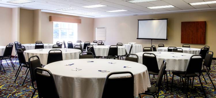 智选假日套房酒店埃德蒙顿国际机场(Holiday Inn Express & Suites Edmonton-International Airport)图片