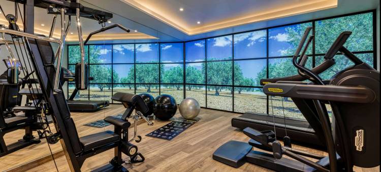 Best Western Plus le Lavarin图片