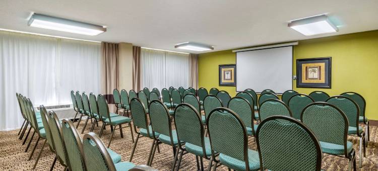 舒适酒店及套房-圣彼得堡-克利尔沃特国际机场(Comfort Inn & Suites St Pete - Clearwater International Airport)图片