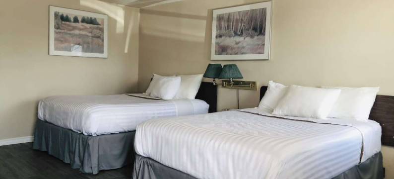 伊利堡骑士酒店(Knights Inn Fort Erie)图片