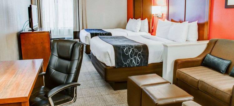 舒适套房酒店-泰勒南(Comfort Suites Tyler South)图片