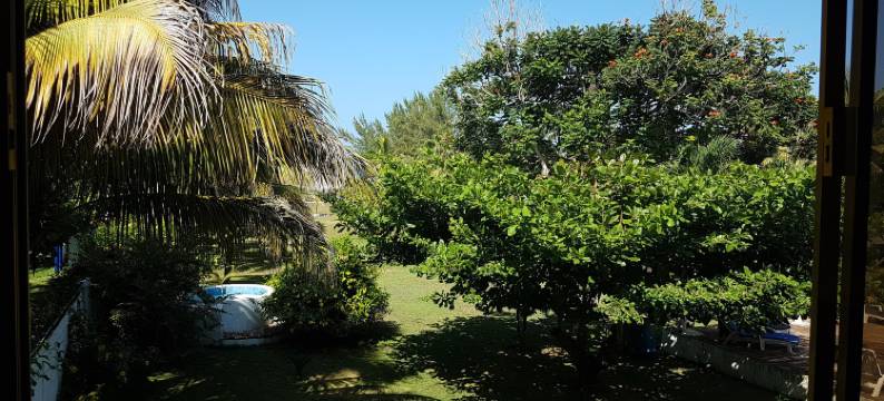 埃尔多拉酒店(Hotel El Doral)图片