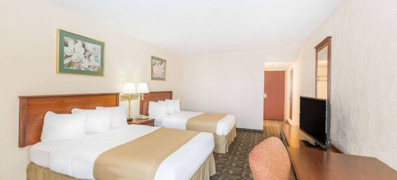 格兰德岛I-80戴斯酒店(Days Inn by Wyndham Grand Island I-80)图片