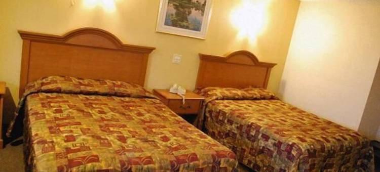 南湾汽车旅馆(South Bay Motel)图片