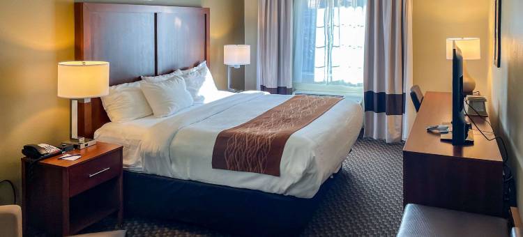 城中舒适套房酒店(Comfort Inn & Suites Midtown)图片